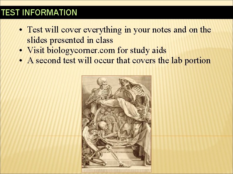 TEST INFORMATION • Test will cover everything in your notes and on the slides