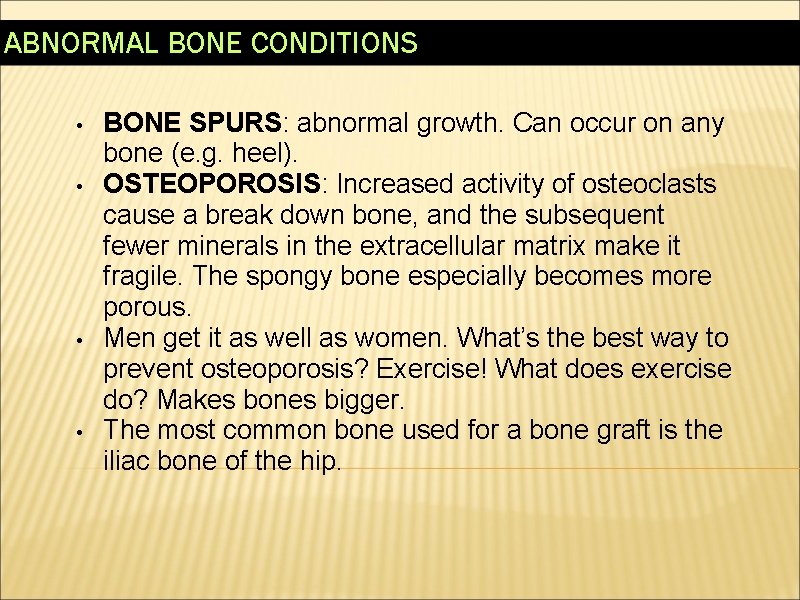 ABNORMAL BONE CONDITIONS • • BONE SPURS: abnormal growth. Can occur on any bone