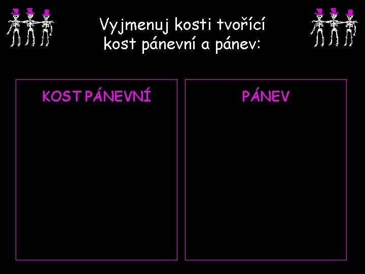Vyjmenuj kosti tvořící kost pánevní a pánev: KOST PÁNEVNÍ PÁNEV 
