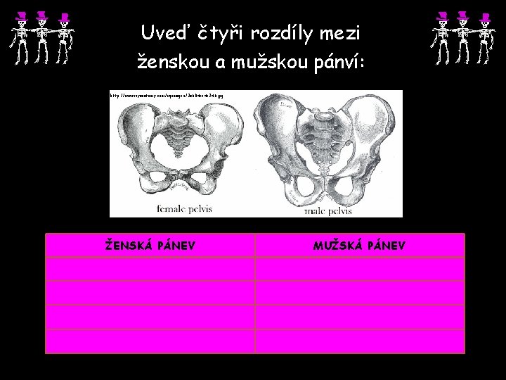 Uveď čtyři rozdíly mezi ženskou a mužskou pánví: http: //www. ivyanatomy. com/wpimages/2 a 604