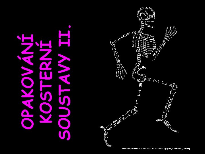 OPAKOVÁNÍ KOSTERNÍ SOUSTAVY II. http: //therohanaurora. com/files/2011/12/Skeleton. Typogram_Aaron. Kuehn_1080. png 
