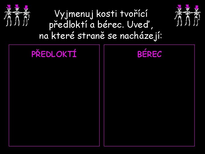 Vyjmenuj kosti tvořící předloktí a bérec. Uveď, na které straně se nacházejí: PŘEDLOKTÍ BÉREC