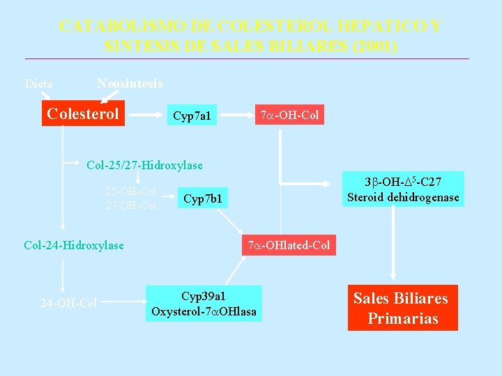 CATABOLISMO DE COLESTEROL HEPATICO Y SINTESIS DE SALES BILIARES (2001) Dieta Neosintesis Colesterol 7