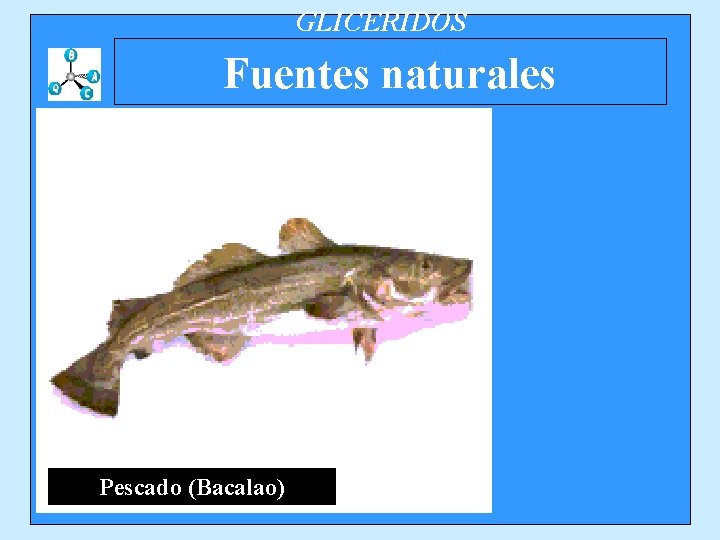 GLICERIDOS Fuentes naturales Pescado (Bacalao) 
