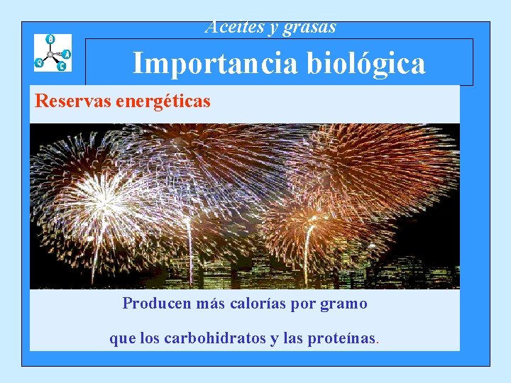 Aceites y grasas Importancia biológica Reservas energéticas Producen más calorías por gramo que los
