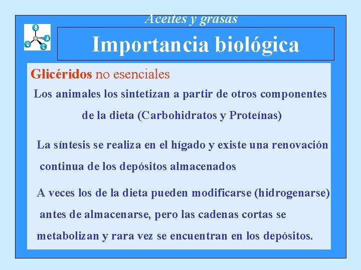 Aceites y grasas Importancia biológica Glicéridos no esenciales Los animales los sintetizan a partir