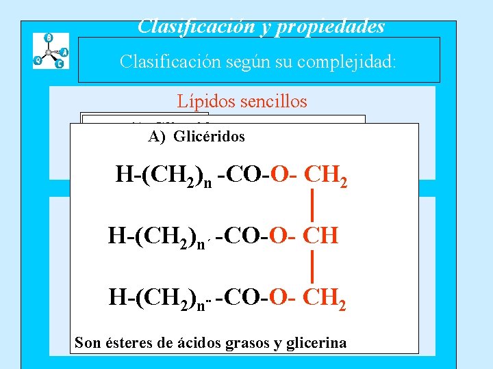 Clasificación y propiedades Clasificación según su complejidad: Lípidos sencillos A) Glicéridos A) A) Glicéridos