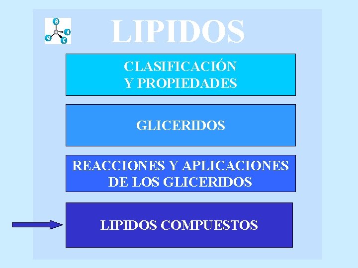 LIPIDOS CLASIFICACIÓN Y PROPIEDADES GLICERIDOS REACCIONES Y APLICACIONES DE LOS GLICERIDOS LIPIDOS COMPUESTOS 