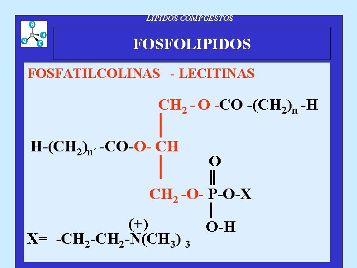 LIPIDOS COMPUESTOS FOSFOLIPIDOS FOSFATILCOLINAS - LECITINAS CH 2 - O -CO -(CH 2)n -H