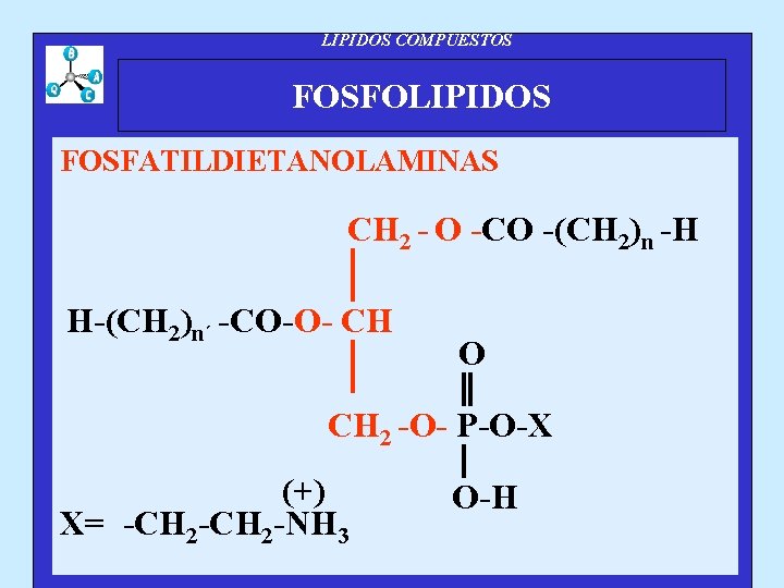 LIPIDOS COMPUESTOS FOSFOLIPIDOS FOSFATILDIETANOLAMINAS CH 2 - O -CO -(CH 2)n -H H-(CH 2)n´