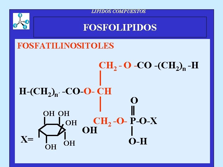 LIPIDOS COMPUESTOS FOSFOLIPIDOS FOSFATILINOSITOLES CH 2 - O -CO -(CH 2)n -H H-(CH 2)n´