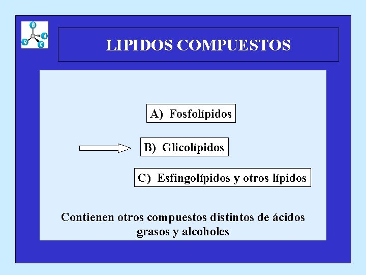 LIPIDOS COMPUESTOS A) Fosfolípidos B) Glicolípidos C) Esfingolípidos y otros lípidos Contienen otros compuestos