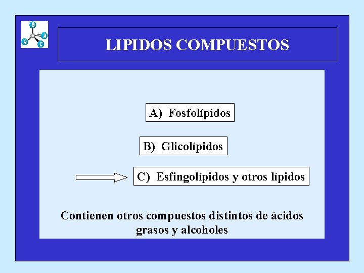 LIPIDOS COMPUESTOS A) Fosfolípidos B) Glicolípidos C) Esfingolípidos y otros lípidos Contienen otros compuestos