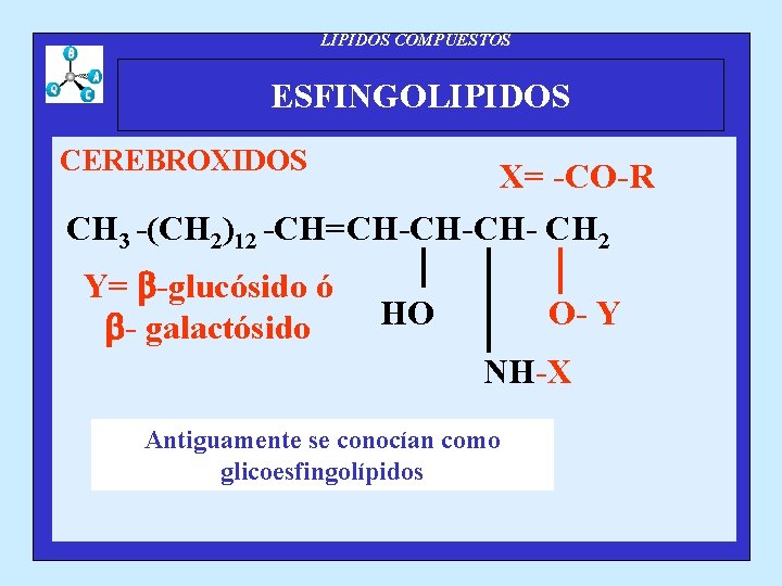 LIPIDOS COMPUESTOS ESFINGOLIPIDOS CEREBROXIDOS X= -CO-R CH 3 -(CH 2)12 -CH=CH-CH-CH- CH 2 Y=