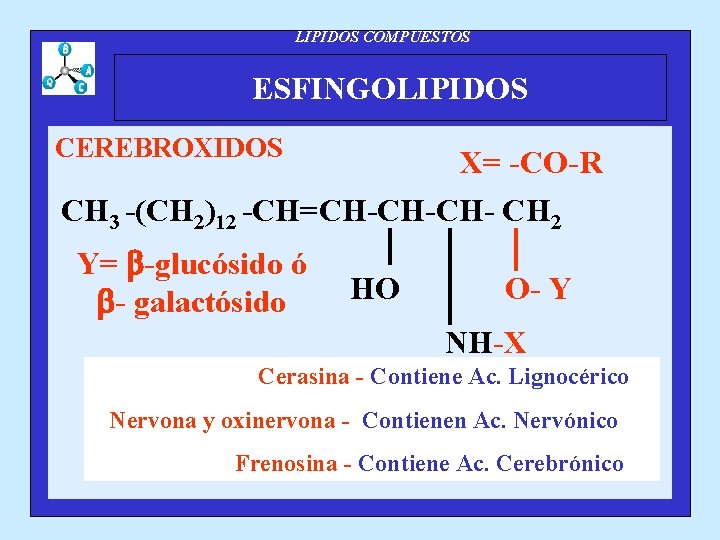 LIPIDOS COMPUESTOS ESFINGOLIPIDOS CEREBROXIDOS X= -CO-R CH 3 -(CH 2)12 -CH=CH-CH-CH- CH 2 Y=