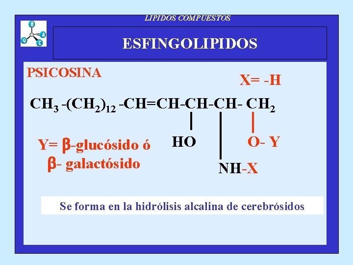 LIPIDOS COMPUESTOS ESFINGOLIPIDOS PSICOSINA X= -H CH 3 -(CH 2)12 -CH=CH-CH-CH- CH 2 Y=