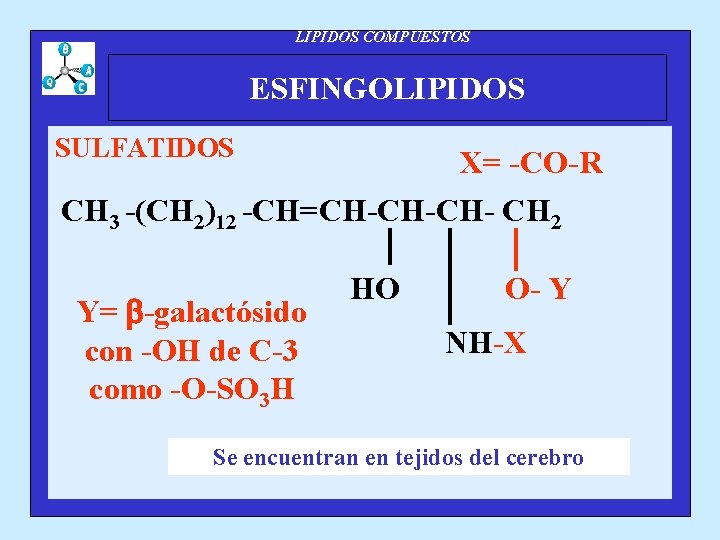 LIPIDOS COMPUESTOS ESFINGOLIPIDOS SULFATIDOS X= -CO-R CH 3 -(CH 2)12 -CH=CH-CH-CH- CH 2 Y=