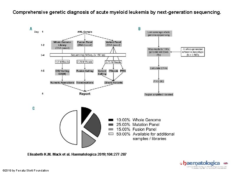 Comprehensive genetic diagnosis of acute myeloid leukemia by next-generation sequencing. Elisabeth K. M. Mack