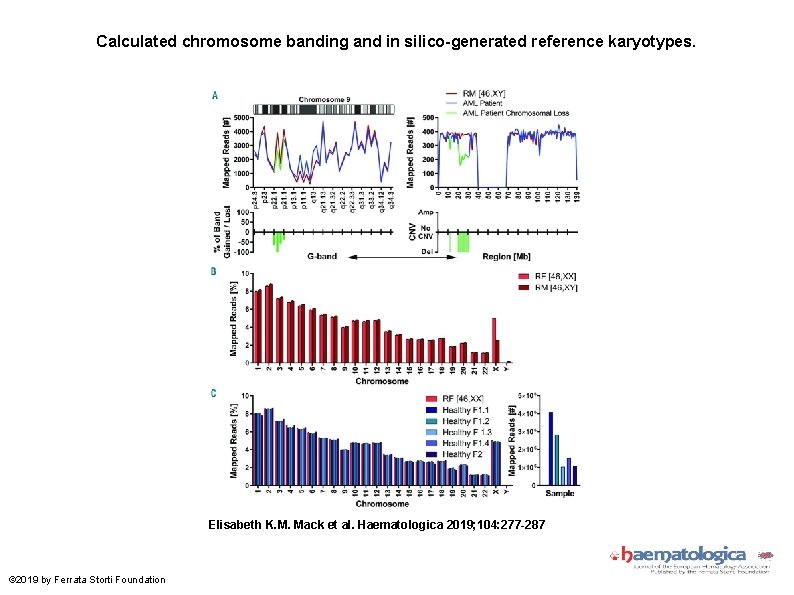 Calculated chromosome banding and in silico-generated reference karyotypes. Elisabeth K. M. Mack et al.