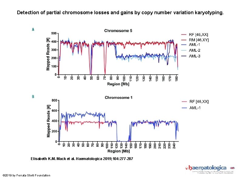 Detection of partial chromosome losses and gains by copy number variation karyotyping. Elisabeth K.