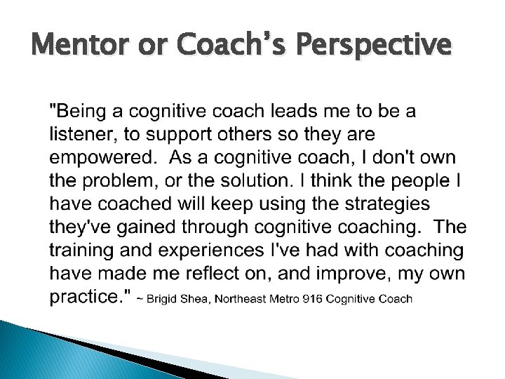 Mentor or Coach’s Perspective 