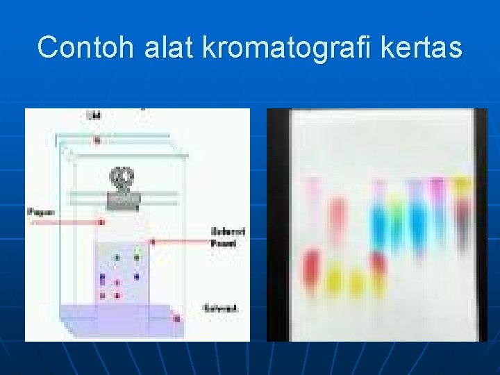 Contoh alat kromatografi kertas 