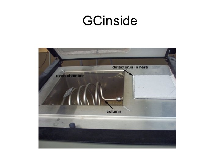 GCinside 