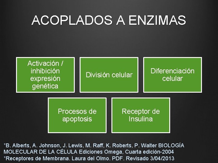 ACOPLADOS A ENZIMAS Activación / inhibición expresión genética División celular Procesos de apoptosis Diferenciación