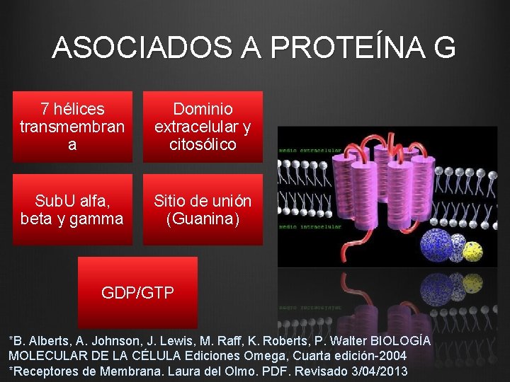 ASOCIADOS A PROTEÍNA G 7 hélices transmembran a Dominio extracelular y citosólico Sub. U