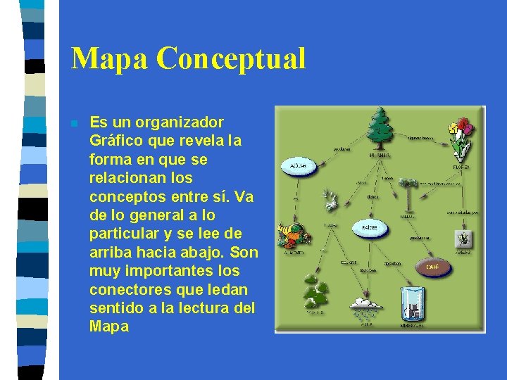 Mapa Conceptual n Es un organizador Gráfico que revela la forma en que se