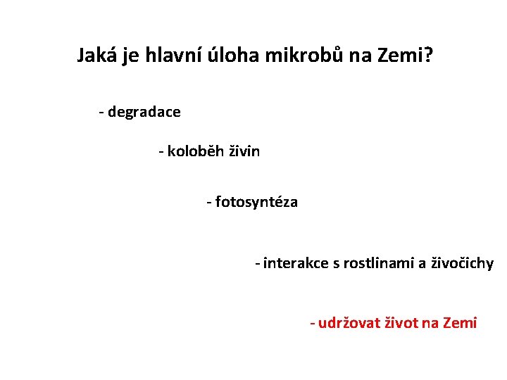 Jaká je hlavní úloha mikrobů na Zemi? - degradace - koloběh živin - fotosyntéza