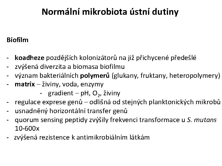 Normální mikrobiota ústní dutiny Biofilm - koadheze pozdějších kolonizátorů na již přichycené předešlé zvýšená