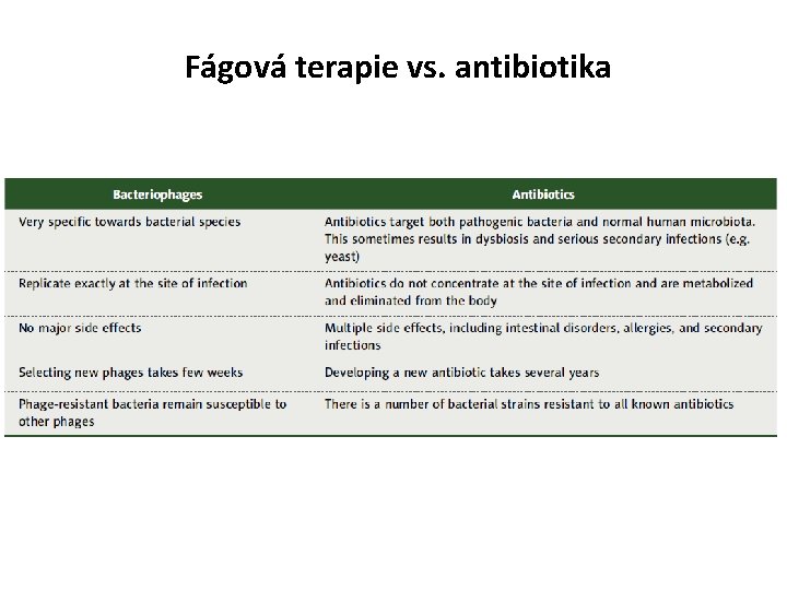 Fágová terapie vs. antibiotika 