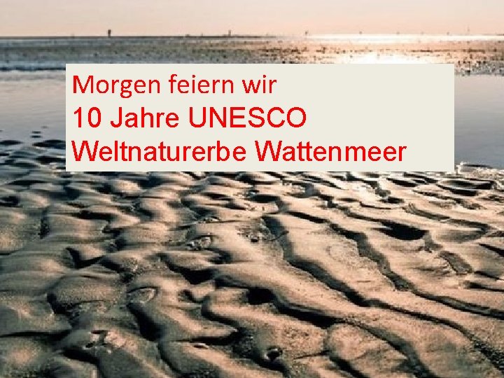 Morgen feiern wir 10 Jahre UNESCO Weltnaturerbe Wattenmeer 