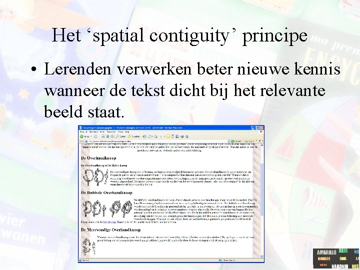 Het ‘spatial contiguity’ principe • Lerenden verwerken beter nieuwe kennis wanneer de tekst dicht