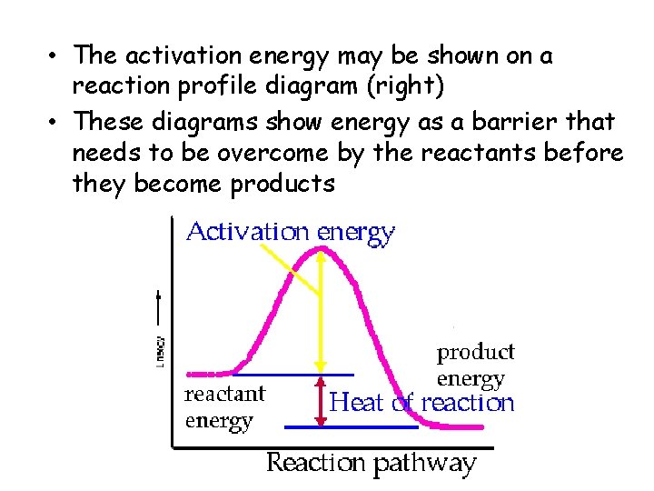  • The activation energy may be shown on a reaction profile diagram (right)