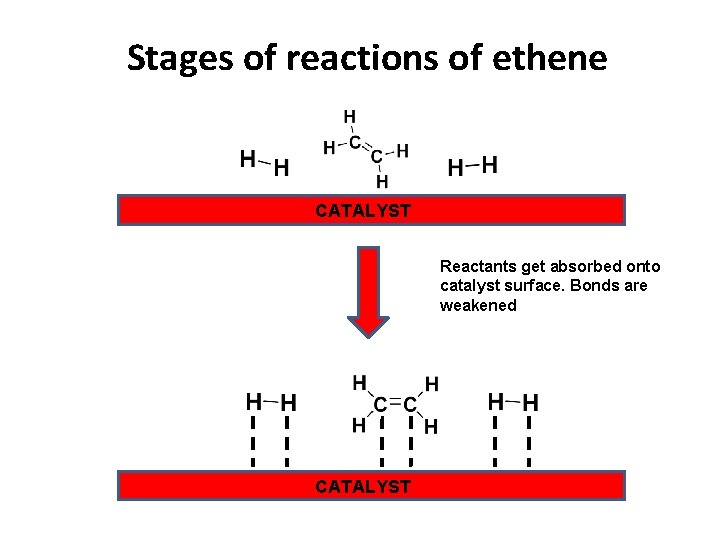 Stages of reactions of ethene CATALYST Reactants get absorbed onto catalyst surface. Bonds are
