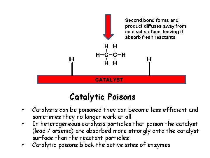Second bond forms and product diffuses away from catalyst surface, leaving it absorb fresh