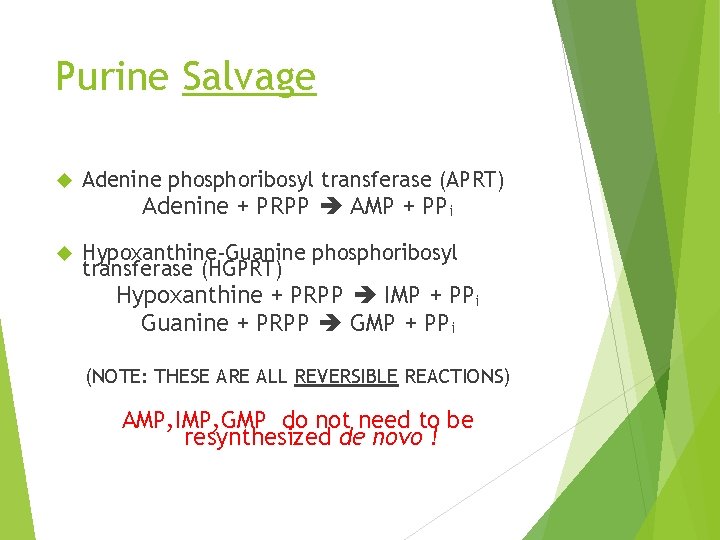 Purine Salvage Adenine phosphoribosyl transferase (APRT) Adenine + PRPP AMP + PPi Hypoxanthine-Guanine phosphoribosyl