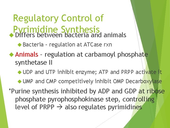 Regulatory Control of Pyrimidine Synthesis Differs between bacteria and animals Bacteria – regulation at