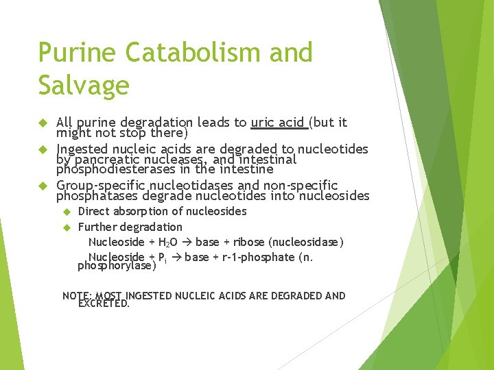 Purine Catabolism and Salvage All purine degradation leads to uric acid (but it might
