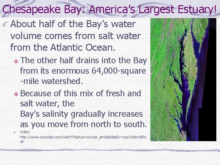 Chesapeake Bay: America’s Largest Estuary! About half of the Bay’s water volume comes from