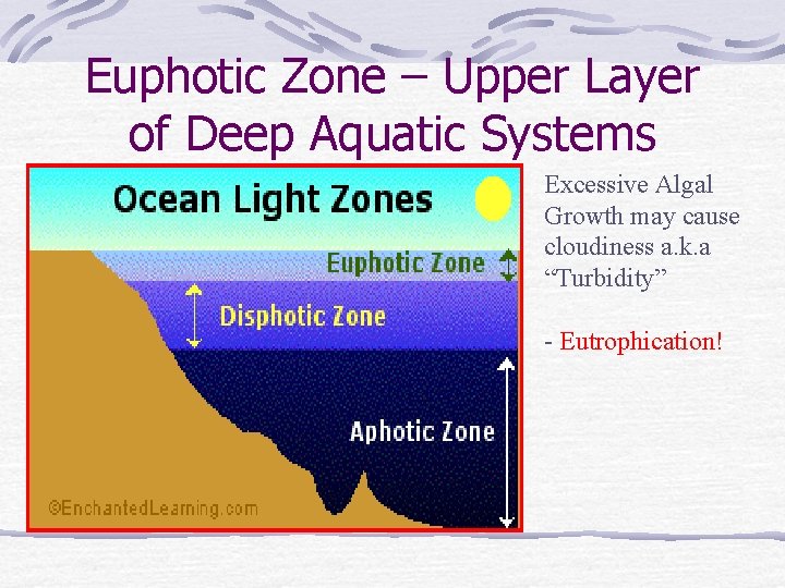 Euphotic Zone – Upper Layer of Deep Aquatic Systems Excessive Algal Growth may cause