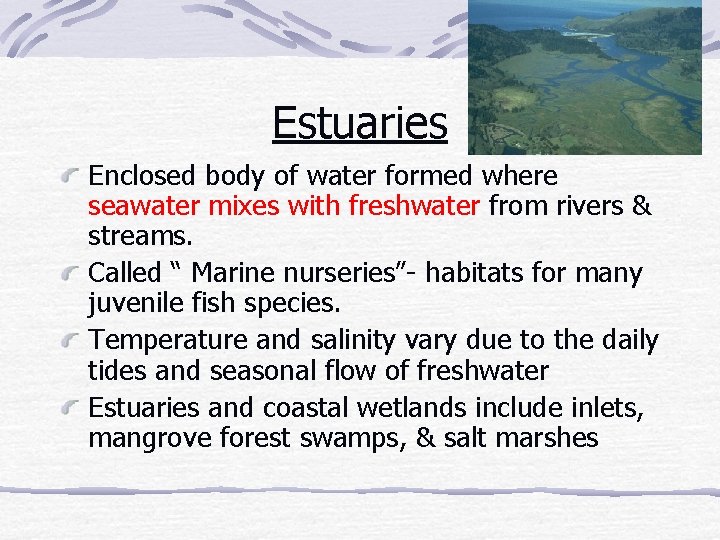 Estuaries Enclosed body of water formed where seawater mixes with freshwater from rivers &