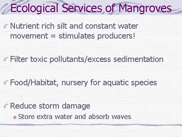 Ecological Services of Mangroves Nutrient rich silt and constant water movement = stimulates producers!