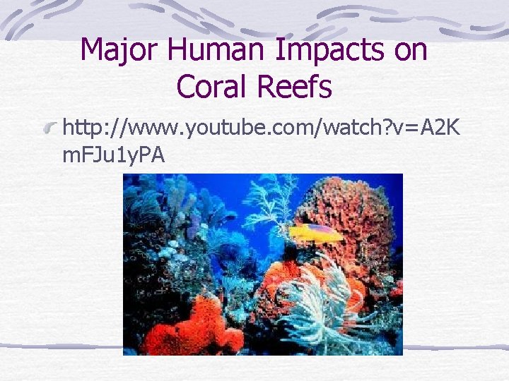 Major Human Impacts on Coral Reefs http: //www. youtube. com/watch? v=A 2 K m.