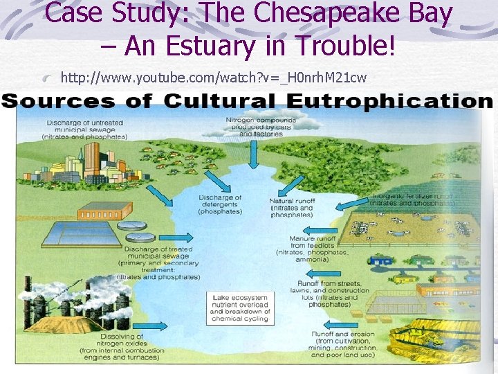 Case Study: The Chesapeake Bay – An Estuary in Trouble! http: //www. youtube. com/watch?