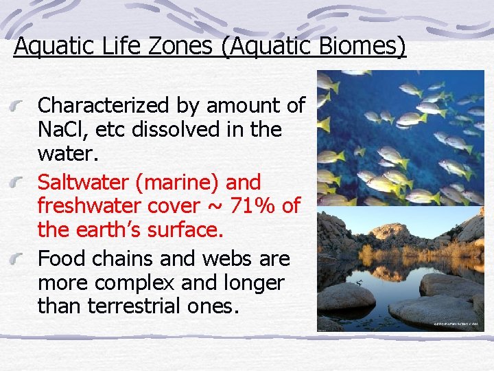 Aquatic Life Zones (Aquatic Biomes) Characterized by amount of Na. Cl, etc dissolved in