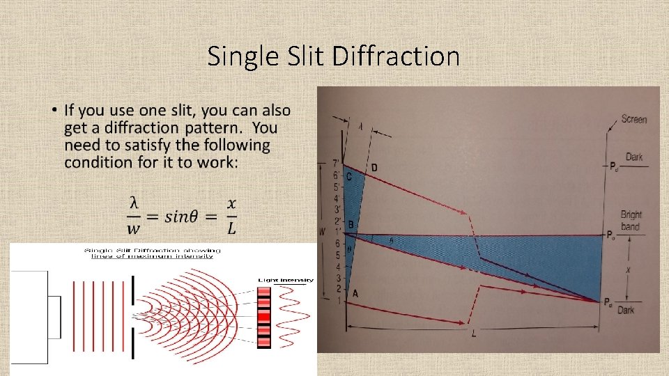 Single Slit Diffraction • 