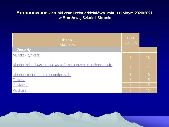 Proponowane kierunki oraz liczba oddziałów w roku szkolnym 2020/2021 w Branżowej Szkole I Stopnia